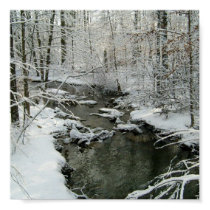 Beautiful Winter Brook Poster posters