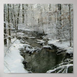 Beautiful Winter Brook Poster posters
