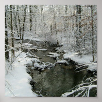 Beautiful Winter Brook Poster