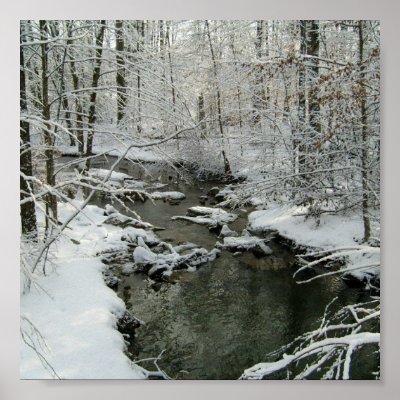 Beautiful Winter Brook Poster by pammys