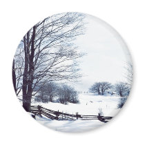 Beautiful Winter Day Fridge Magnet