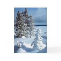 Beautiful Winter Scene Card
