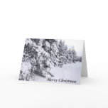 Beautiful Winter Scene Greeting Cards