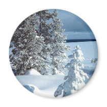 Beautiful Winter Scene Magnets