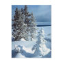 Beautiful Winter Scene Post Card