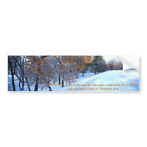 Beautiful winter season bumper stickers