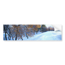 Beautiful winter season bumper stickers
