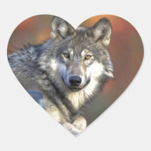 Beautiful Wolf Heart Stickers