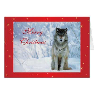 Beautiful wolf in snow photo custom christmas card