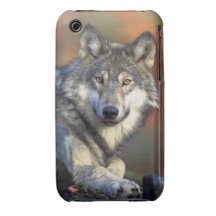 Beautiful Wolf iPhone 3 Cases