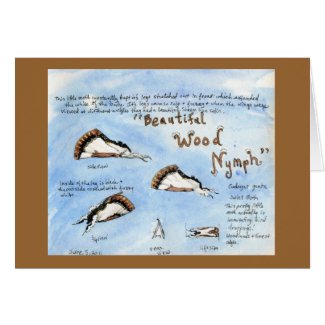 Beautiful Wood-nymph Moth watercolor card