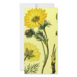 Beautiful Yellow flower Customized Photo Card
