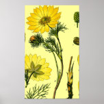 Beautiful Yellow flower Poster