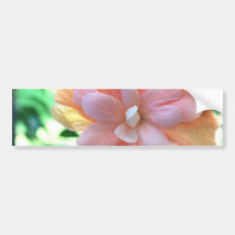 Beautiful Yellow, Orange & Pink Hibiscus Flower Bumper Stickers