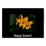 Beautiful Yellow Orchid With Red Card