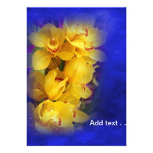 Beautiful Yellow Orchids on Deep Blue Background Cards