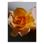 Beautiful yellow rose card