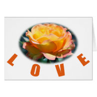 beautiful yellow rose flower photo art love gift card