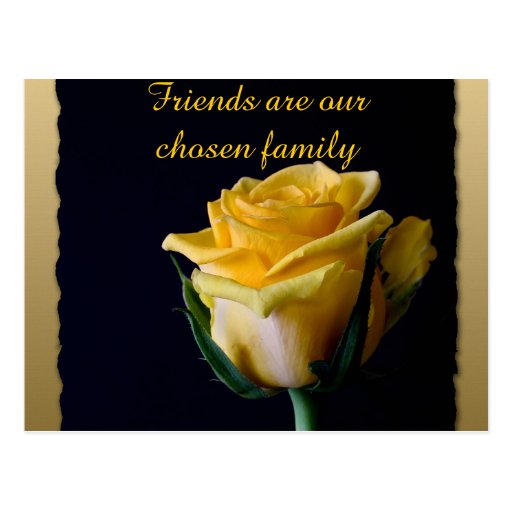 Beautiful Yellow Rose on Black Friendship Postcard Zazzle