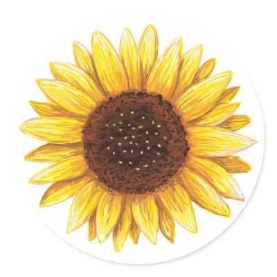 Beautiful yellow sunflower drawing stickers by MheaGifts