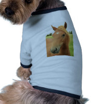 beautiful young chestnut foal pet clothing