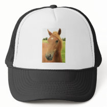 beautiful young chestnut foal hats by Ljrigg beautiful young chestnut foal hats