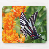 Beautiful Zebra Swallowtail mousepads