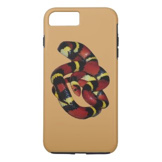 Beautifull red, black and yellow milk snake