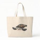 Beautifull SeaTurtle