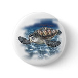 Beautifull SeaTurtle