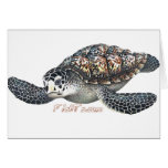 Beautifull SeaTurtle