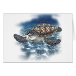 Beautifull SeaTurtle