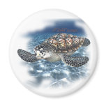 Beautifull SeaTurtle