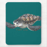 Beautifull SeaTurtle
