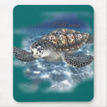 Beautifull SeaTurtle