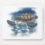 Beautifull SeaTurtle