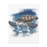 Beautifull SeaTurtle