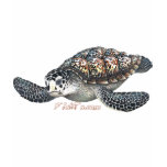 Beautifull SeaTurtle