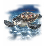 Beautifull SeaTurtle