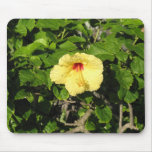 Beautifully Alone Mousepads