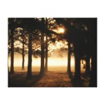 Beauty After the Storm Canvas Print