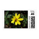 Beauty and the Bug postage by SHimschoot Beauty and the Bug postage