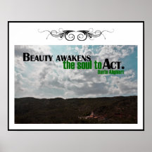 Beauty Awakens Custom Poster