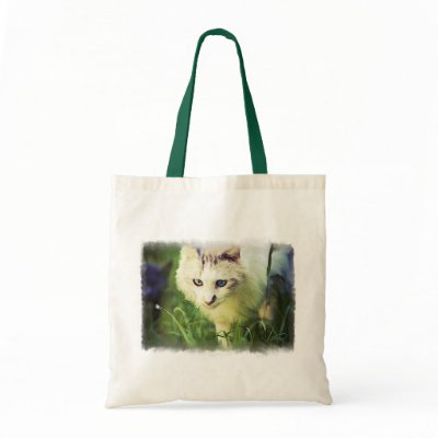 'Beauty' Bag by CaboodleShop
