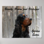 Beauty, Brains and Birdsense, Gordon Setter Poster