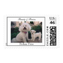 Beauty & Brains, Bichon Frise postage by amyrdslp Beauty & Brains, Bichon Frise postage