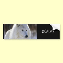 BEAUTY bumper stickers
