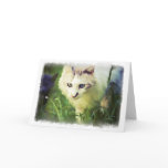 'Beauty' Card