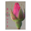 Beauty cards