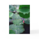 Beauty/Card by riverme Beauty/Card